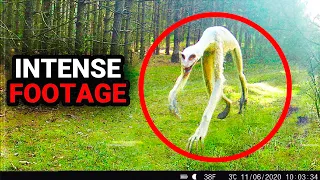 Disturbing Trail Cam Footage You Won't Believe Exists (2023)