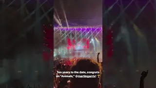 10 Years of Animal - MARTIN GARRIX