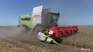 CLAAS LEXION 5400 VLOG szaknyelven