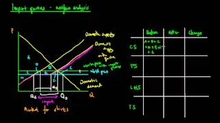 Import Quota Welfare Analysis