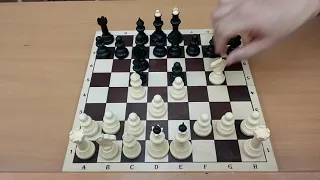 Дебютная ловушка в шахматах. Chess. Mat. Ajedrez. Estera.