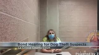 Bond hearing for two suspects in dog theft