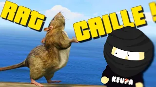 LE RAT CAILLE ! (Troll GTA 5 RP)