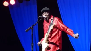 Buddy Guy - Fever - Live