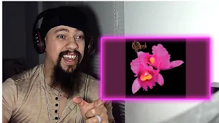 Classical Pianist Opeth Under The Weeping Moon Reaction