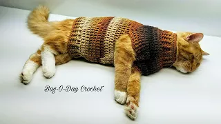Easy Crochet Cat Sweater Tutorial #426