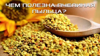 ЧЕМ ПОЛЕЗНА ПЧЕЛИНАЯ ПЫЛЬЦА? ЗАЧЕМ СПОРТСМЕНАМ И ПОЖИЛЫМ ЛЮДЯМ ПЧЕЛИНАЯ ПЫЛЬЦА? СЕКРЕТЫ ДОЛГОЛЕТИЯ