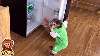 Smart YoYo JR knows to get milk from fridge to drink