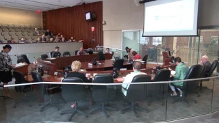 Hamilton City Council Planning Committee for June 20, 2017