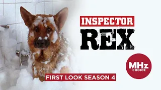 First Look: Inspector Rex (Season 4)