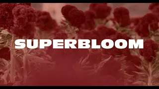 Silent Planet - SUPERBLOOM (Official Visualizer)