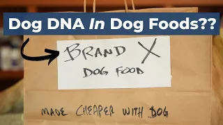 [Disturbing] New Study of What's Really In Pet Food
