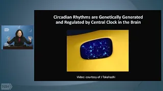 WALS NIH Director's Lecture: Dynamic Interplay of Circadian Rhythms and Sleep on Health