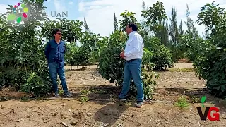 Visita a la Agrícola San Juan