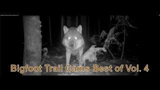 My Bigfoot Story Ep 109 - Bigfoot Trail Cams Best of Vol  4