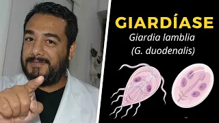 Giardíase (Giardia lamblia  G. duodenalis) - Curso de #Parasitologia Humana Básica e Clínica