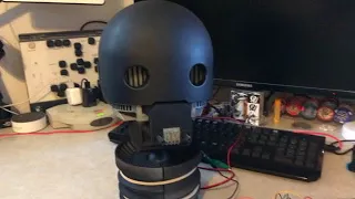 K2SO Head assebly with LED eyes