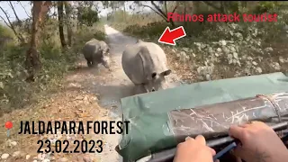 Rhinos attack tourists during safari at Jaldapara Forest|Jeep palat gaya | Dooars #viral #westbengal