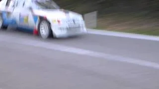 12º Rally Legend 2014 - Peugeot 205 T16