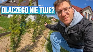 DLACZEGO NIE CHCĘ TUJI W OGRODZIE? | CO ZAMIAST TUJI | ŻYWOPŁOT | KOSIARKA | OGRODZENIE