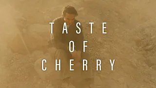 A Tribute To Taste of Cherry