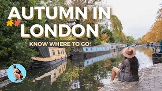 Places to see Autumn in London (40+ spots for fall foliage)