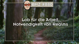 BMZ #880: Lob für die Arbeit, Notwendigkeit von Realms