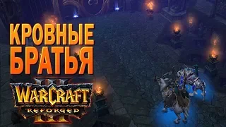 #48 Кровные братья / Конец вечности / Warcraft 3 Reforged прохождение на Высокой сложности