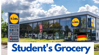 Grocery In Germany 2023 || Grocery Prices in 2023 after Inflation Germany || Lidl Supermarkets Tour