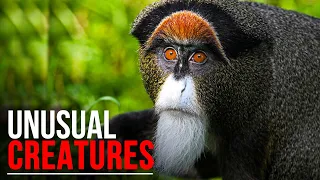 Top 10 Most Unique Animals In The World