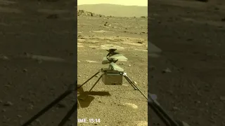 Mars Rover Gives Birth