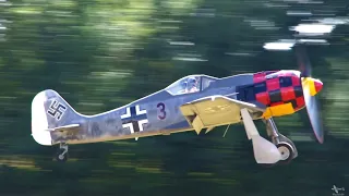 Focke-Wulf Fw 190 ~ Radial Engine Power for the Luftwaffe