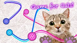 猫向けゲーム  。  ネコが喜ぶ動画【 猫用動画 】猫が見るテレビ  。 糸と紐  。 猫に見せる映像。猫 ゲーム  。  猫が喜ぶ映像