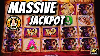 Massive Jackpot Handpay On Buffalo Gold Slot Machine