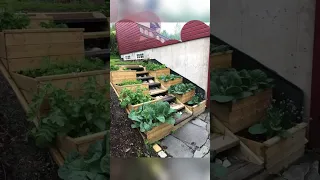 Грядки на склоне как сделать 🌱🏠