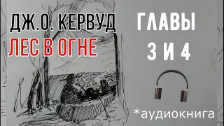 Лес в огне [глава 3-4] - Джеймс Оливер Кервуд аудиокнига приключения природа Севера Америки бушкрафт