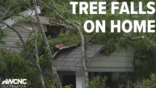 Tree falls onto Mooresville home