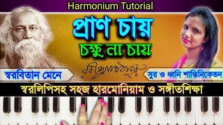 Pran Chay Chokkhu Na Chay ( প্রাণ চায় চক্ষু না চায় )/ Harmonium Tutorial / রবীন্দ্র সংগীত / স্বরলিপি