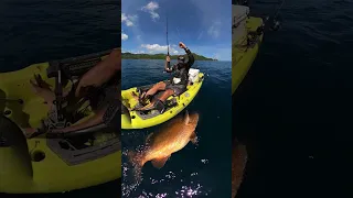 GIANT CUBERA SNAPPER CAUGHT BY TEAM PELAGIC'S LANCE CLINTON