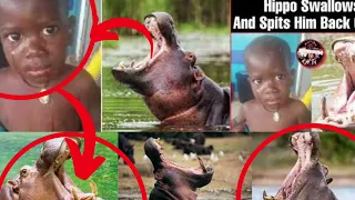 UNBELIEVABLE !! Hungry Hippo Swallows 2-Year Old Boy & SPITS HIM A LIVE After Onlooker Scares It.