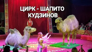 ЦИРК-ШАПИТО КУДЗИНОВ...1апреля 2023,часть первая.