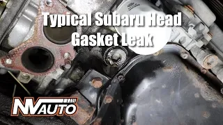 How to diagnose a external Subaru head gasket leak