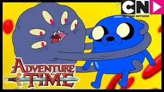 Hora de Aventura Brasil | Jake Filho Das Estrelas | Cartoon Network