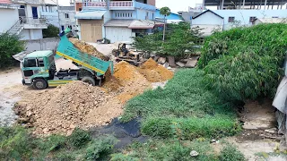 Perfectly The New Project! Dozer Komatsu Push Soil and push the dirt mud By Dump Truck 5ton