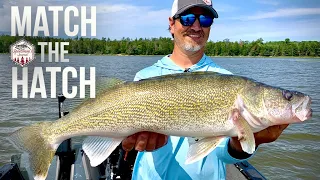 Catch MORE Walleyes During BUG Hatches