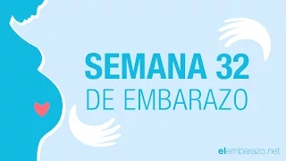 Semana 32 de embarazo | 32 semanas de embarazo | El embarazo semana a semana