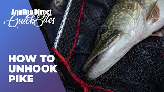 How To Unhook Pike - Predator Fishing Quickbite