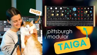 Pittsburgh Modular Taiga: Experiments in Waveshaping & Chaos