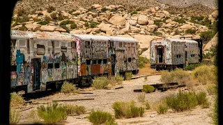 Something Crazy Happened At These Abandoned Trains