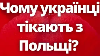 Чому українці тікають з Польщі?!